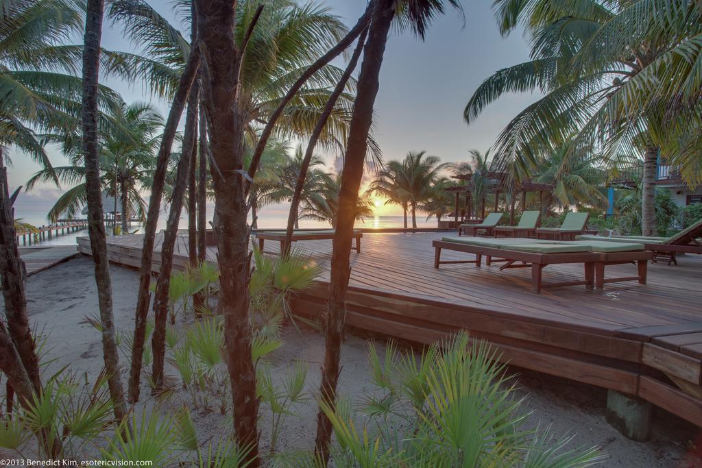 Robert'S Grove Beach Resort Placencia Dış mekan fotoğraf